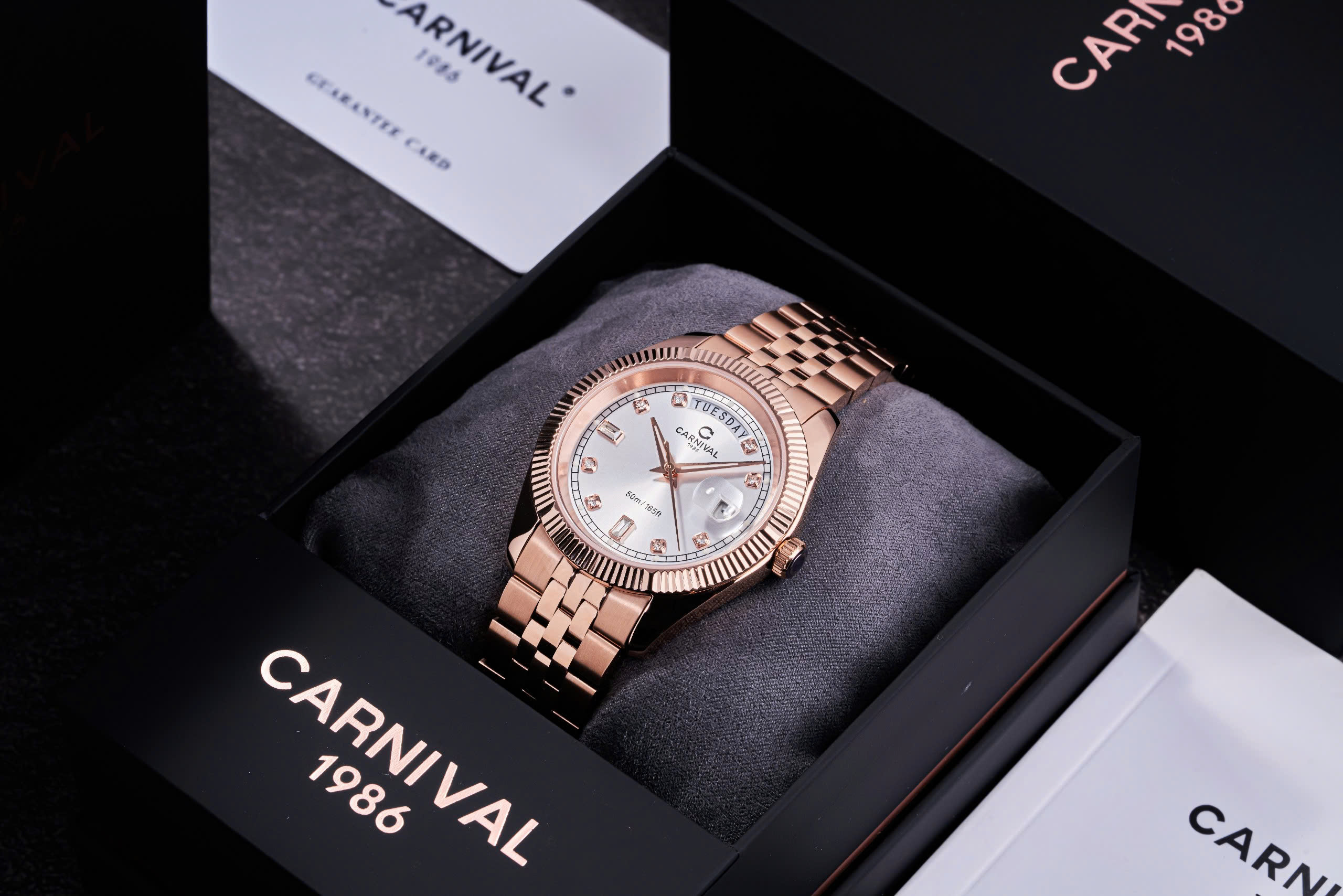 CARNIVAL 8190G-VH-T - Hình ảnh 6